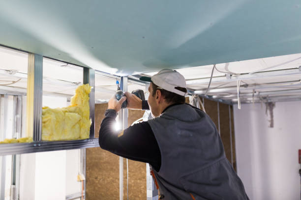Types of Insulation We Offer in Picture Rocks, AZ