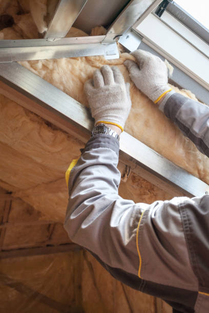 Best Spray Foam Insulation in Picture Rocks, AZ