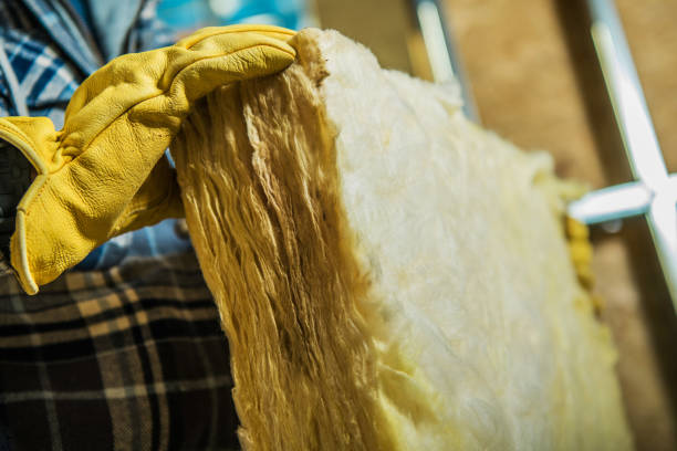 Best Residential Insulation in Picture Rocks, AZ