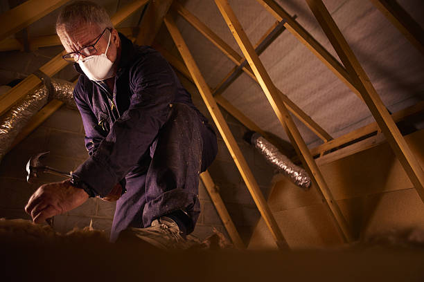 Best Commercial Insulation in Picture Rocks, AZ